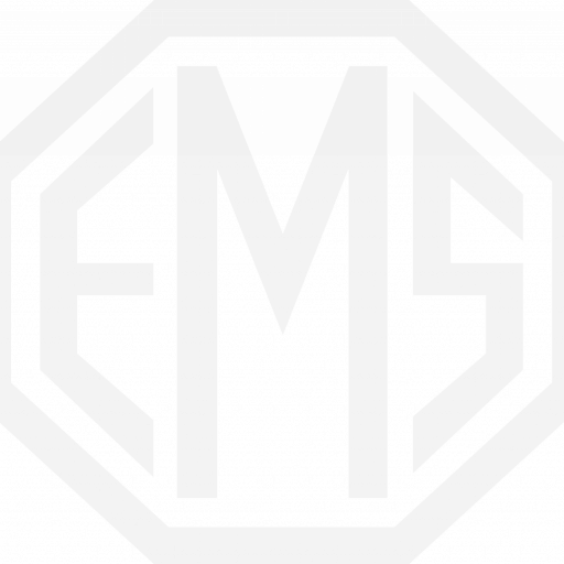 EMS Physio logo